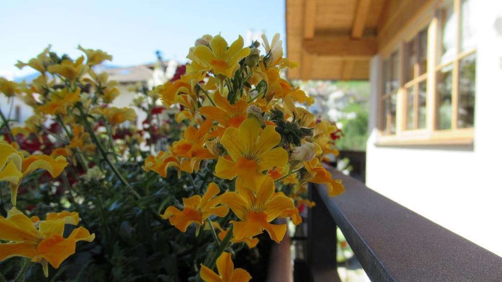 Chalet Casa Al Poz Tassullo Екстер'єр фото